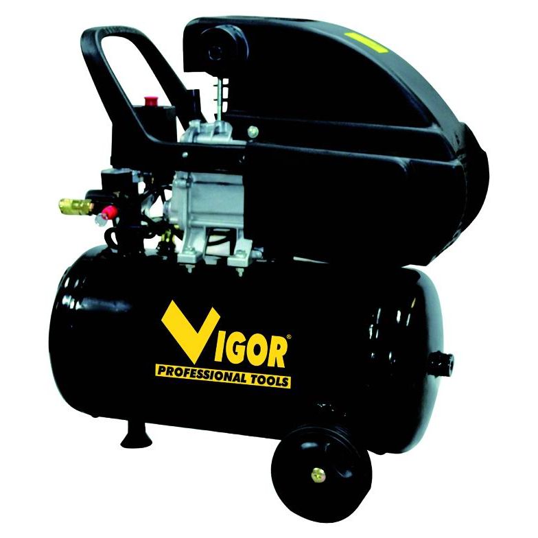 Vigor 