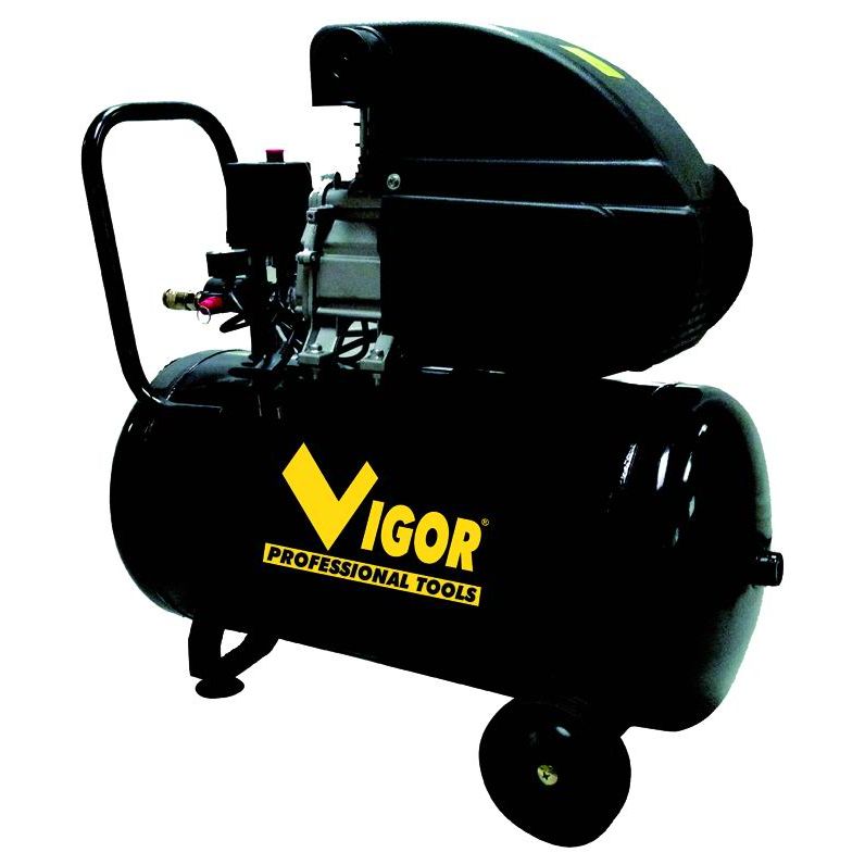 Vigor 
