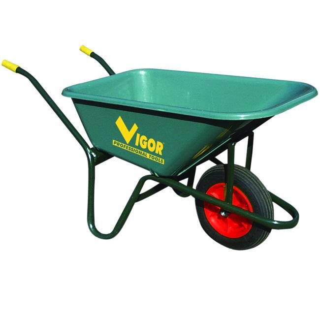 Vigor 