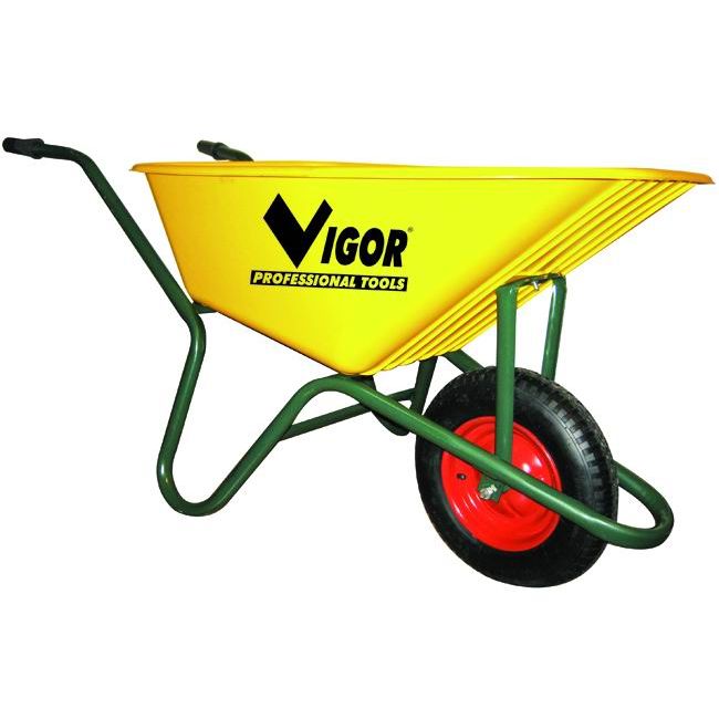 Vigor 