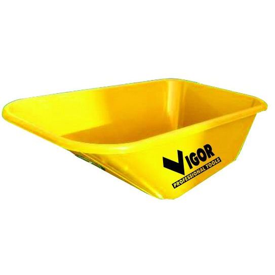 Vigor 