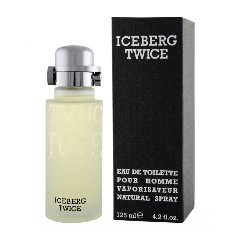 Iceberg 10290374