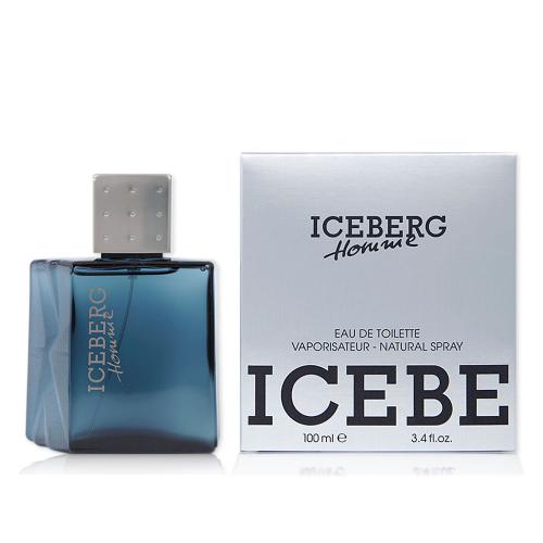 Iceberg 