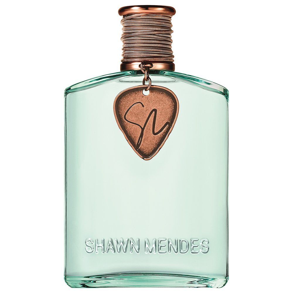 Shawn Mendes 