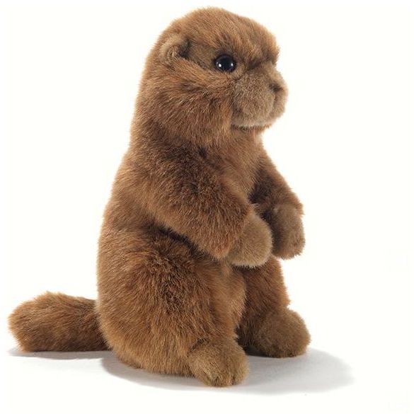 Plush & Company 15894