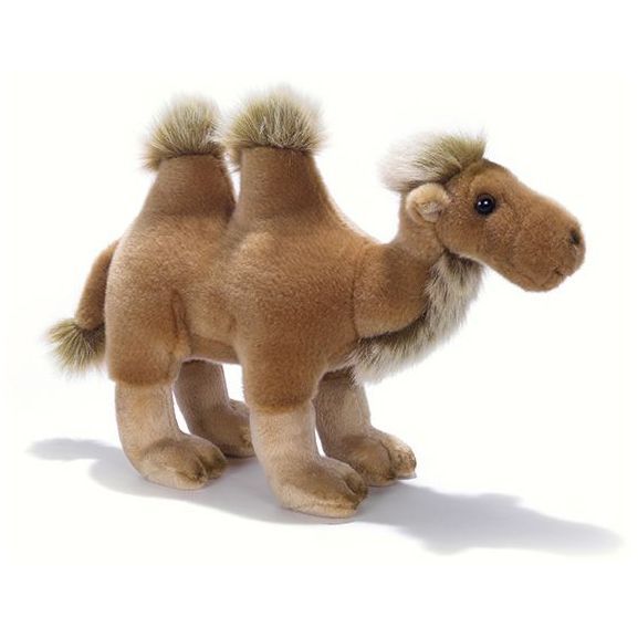 Plush & Company 15899