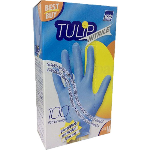 Tulip 