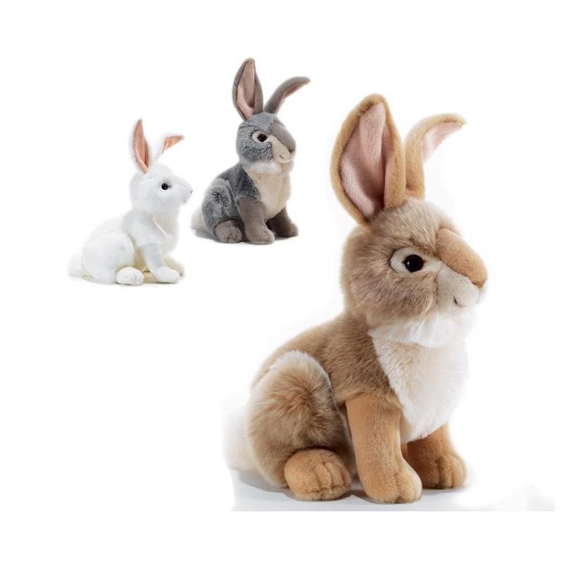 Plush & Company 15733