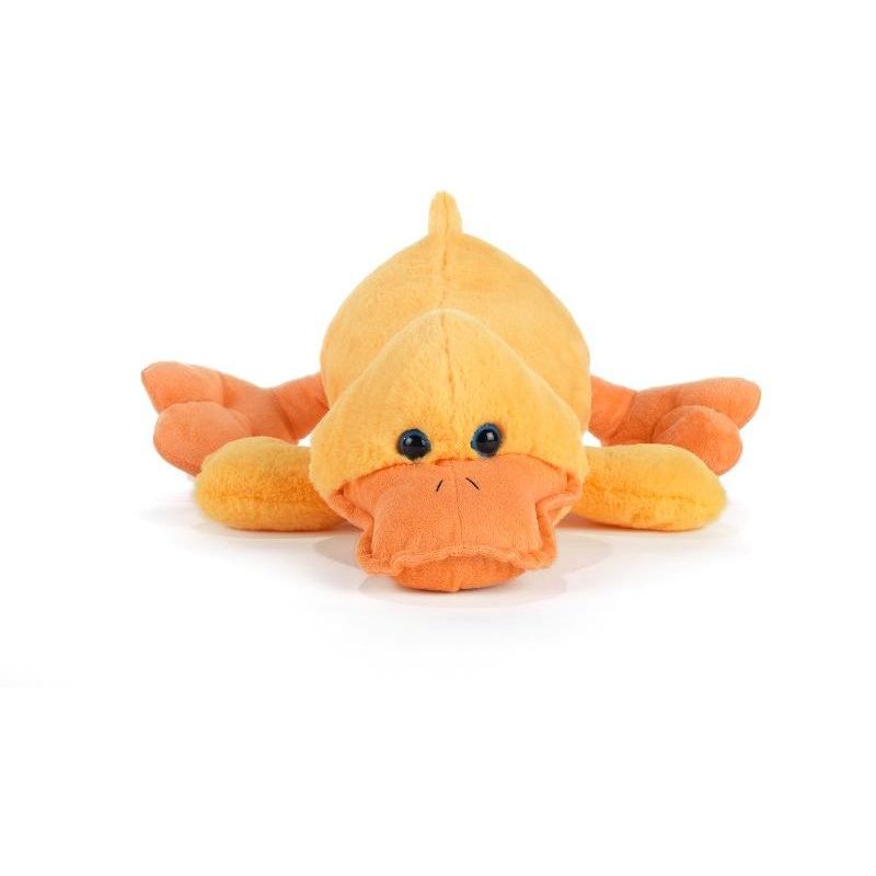 Plush & Company 07807