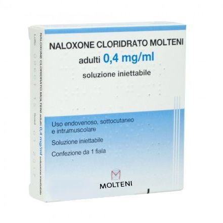 MOLTENI 029612013