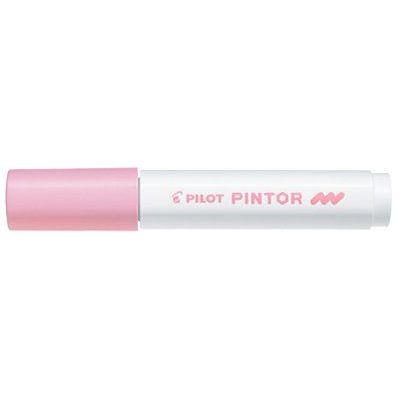 Pilot 