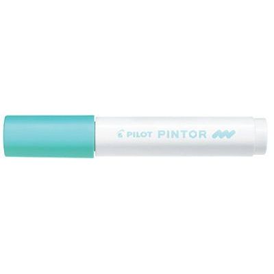 Pilot 