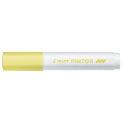 Pilot 